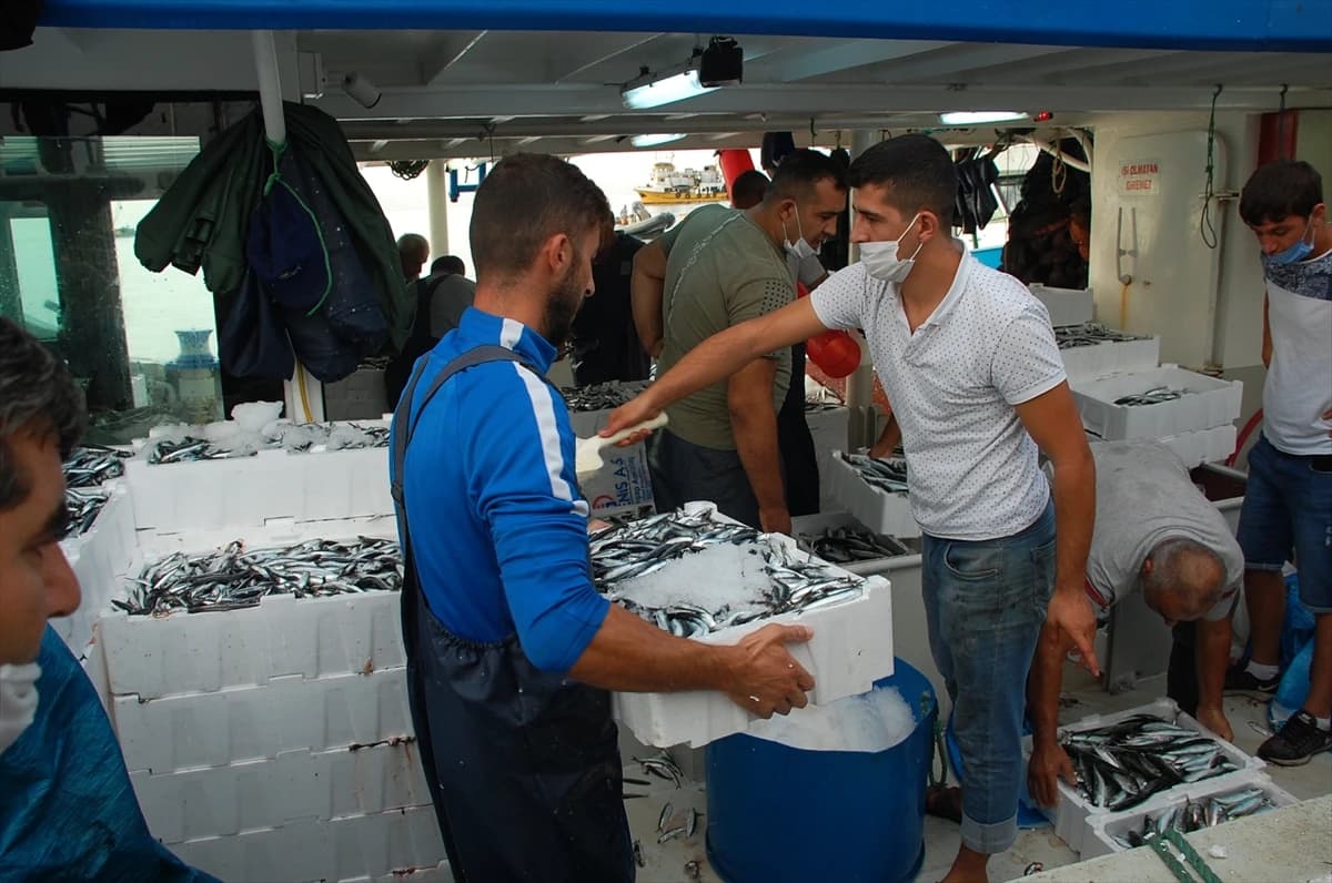 Didim’de balıkçılar iskeleye tekneleri dolu döndü