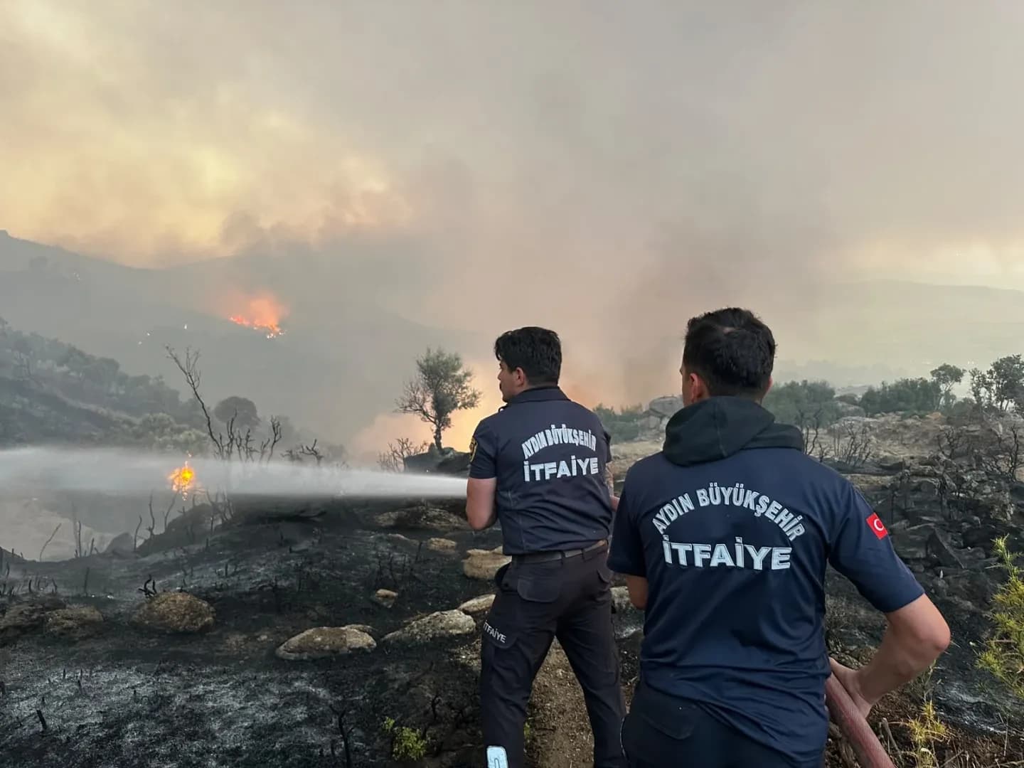Aydın Büyükşehir Belediyesi İtfaiyesi Bir Haftada 446 Yangına Müdahale Etti