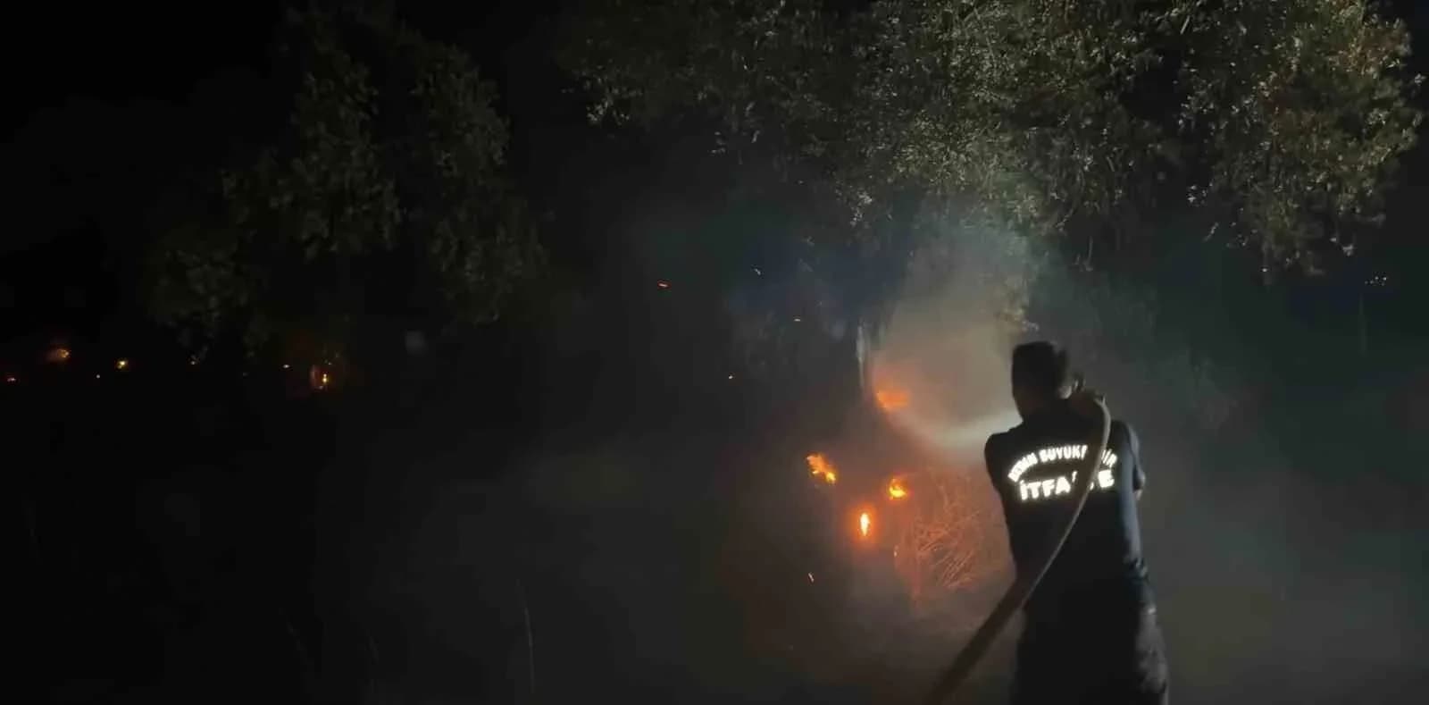 Aydın’da zeytinlik yangını: Yaklaşık 200 ağaç zarar gördü