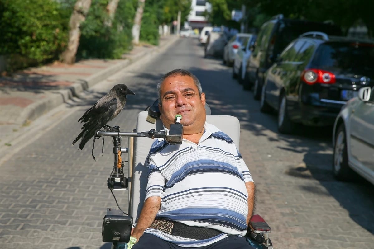 Tedavi ettiği karga “Şakir” en iyi arkadaşı oldu