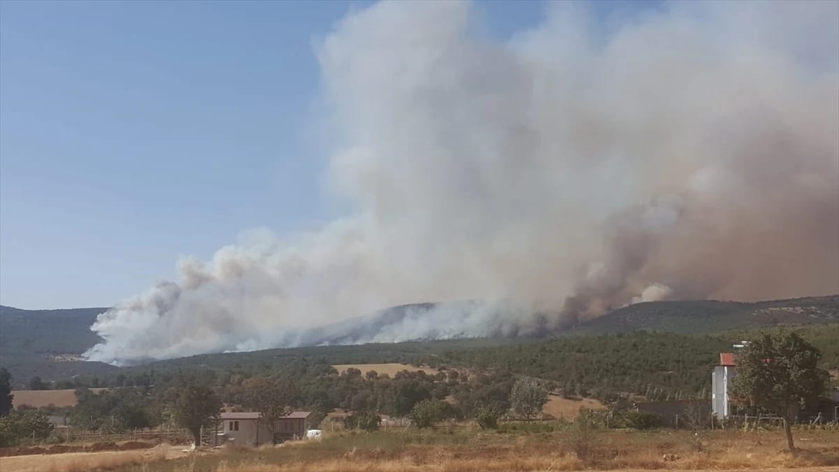 Uşak’ta orman yangını