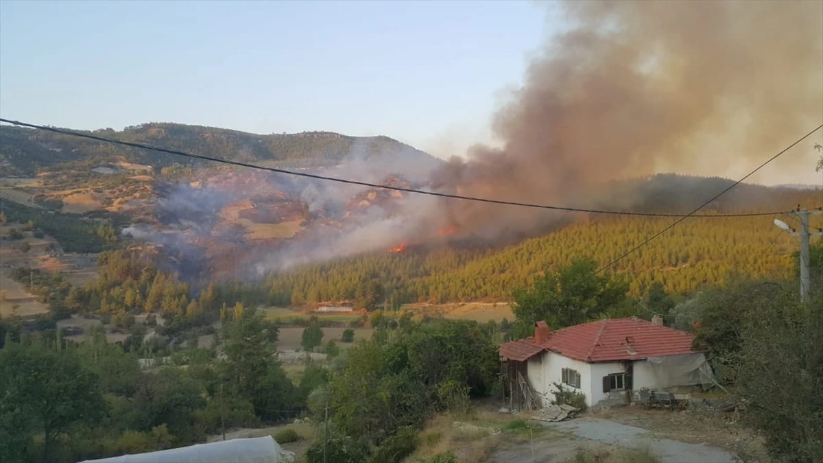 Denizli’de orman yangını
