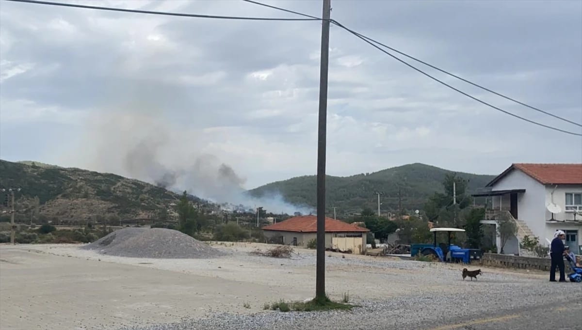 Muğla’da çıkan orman yangını kontrol altına alınmaya çalışılıyor