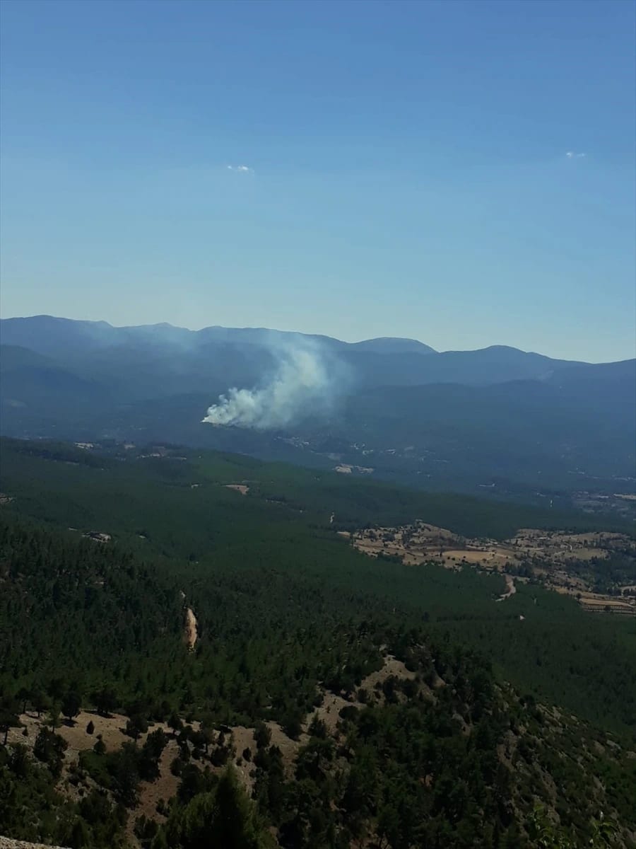 Muğla’daki orman yangını söndürüldü