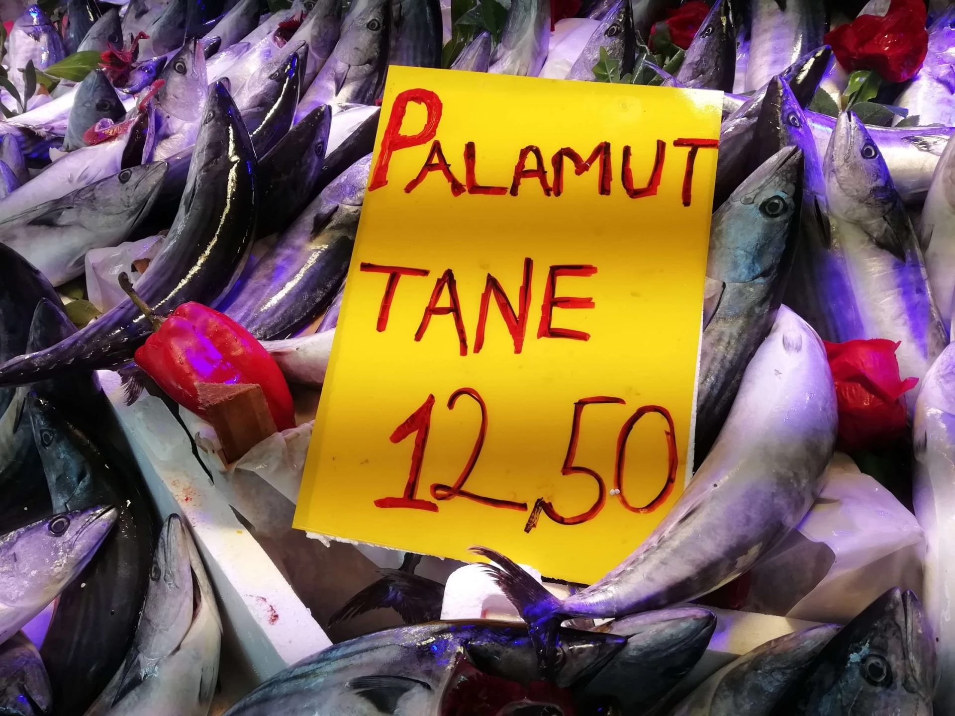 Palamut büyüyor, fiyatı küçülüyor