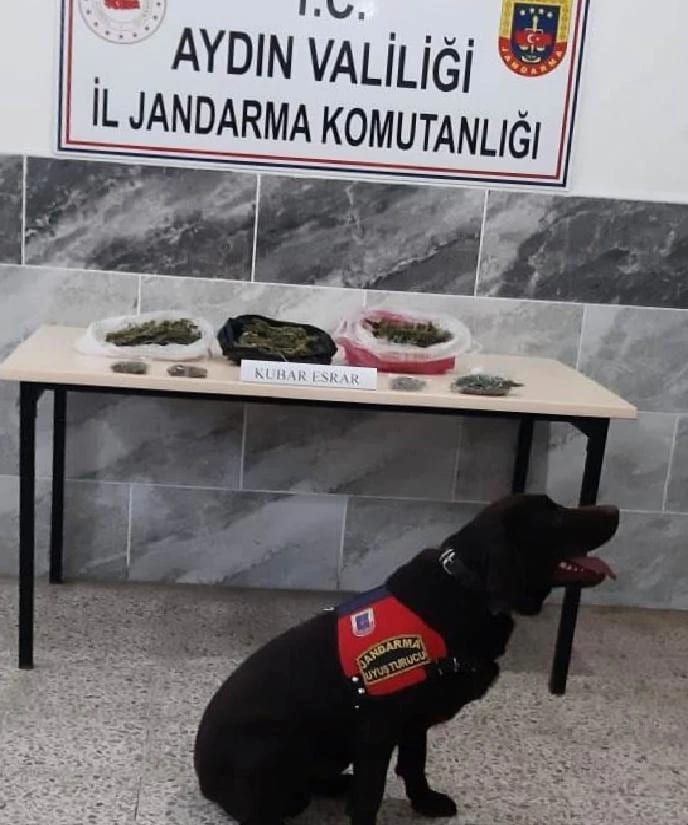 Aydın’da 250 gram kubar esrar ele geçirildi