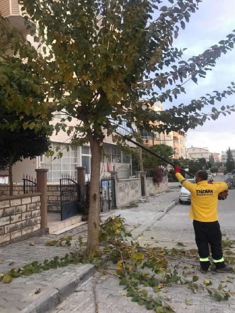 Didim’in çehresi değişiyor