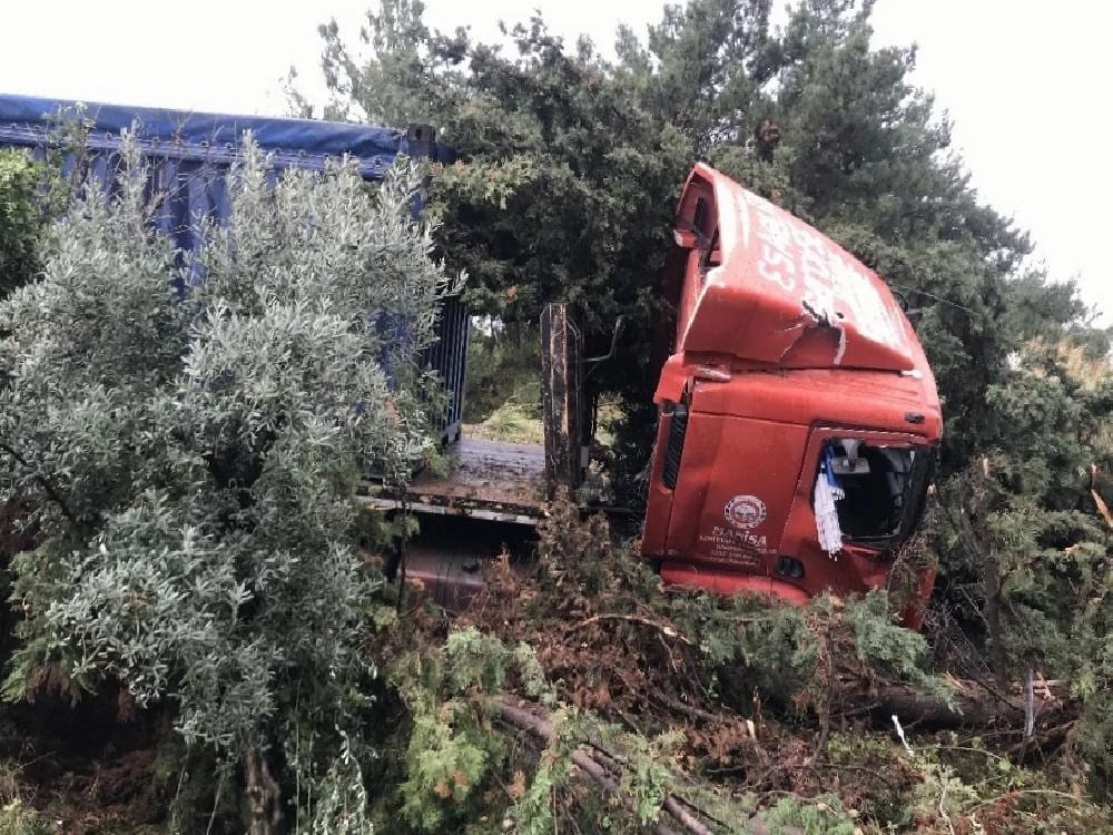 Kuşadası’nda tır tarlaya uçtu