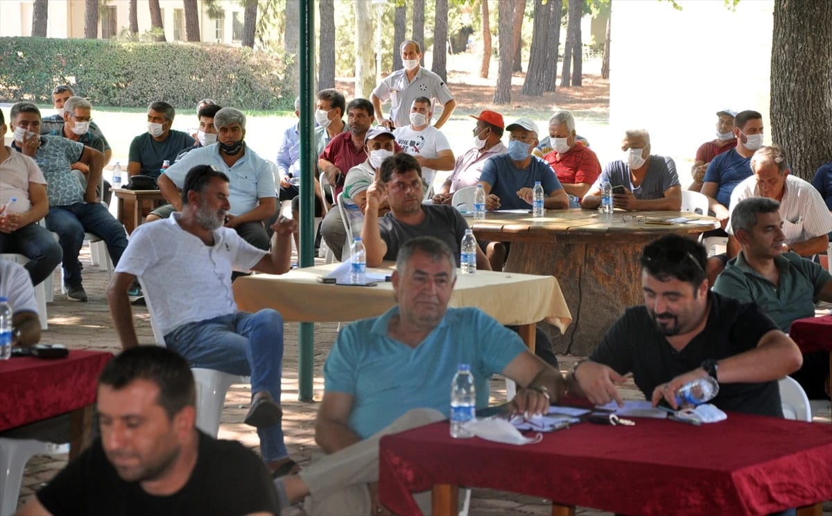 Dalaman TİGEM’de limon ihalesi yapıldı