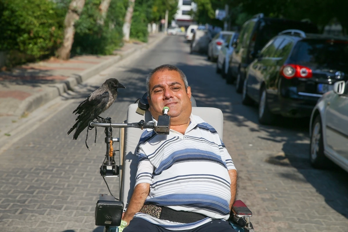 Tedavi ettiği karga “Şakir” en iyi arkadaşı oldu