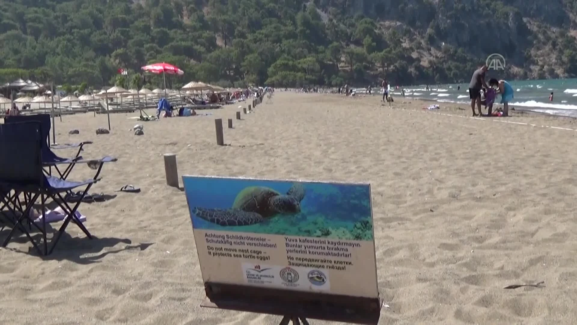 İztuzu Plajı’nda 744 caretta caretta yuvasıyla rekor kırıldı