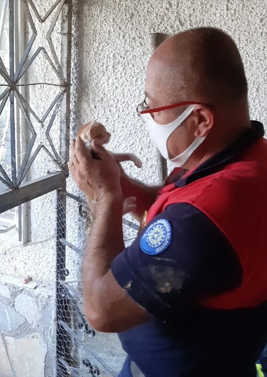 Muğla’da taş duvar arasında sıkışan kedi yavrusunu itfaiye kurtardı