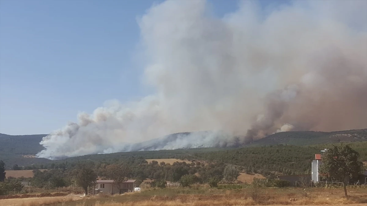 Uşak’ta orman yangını