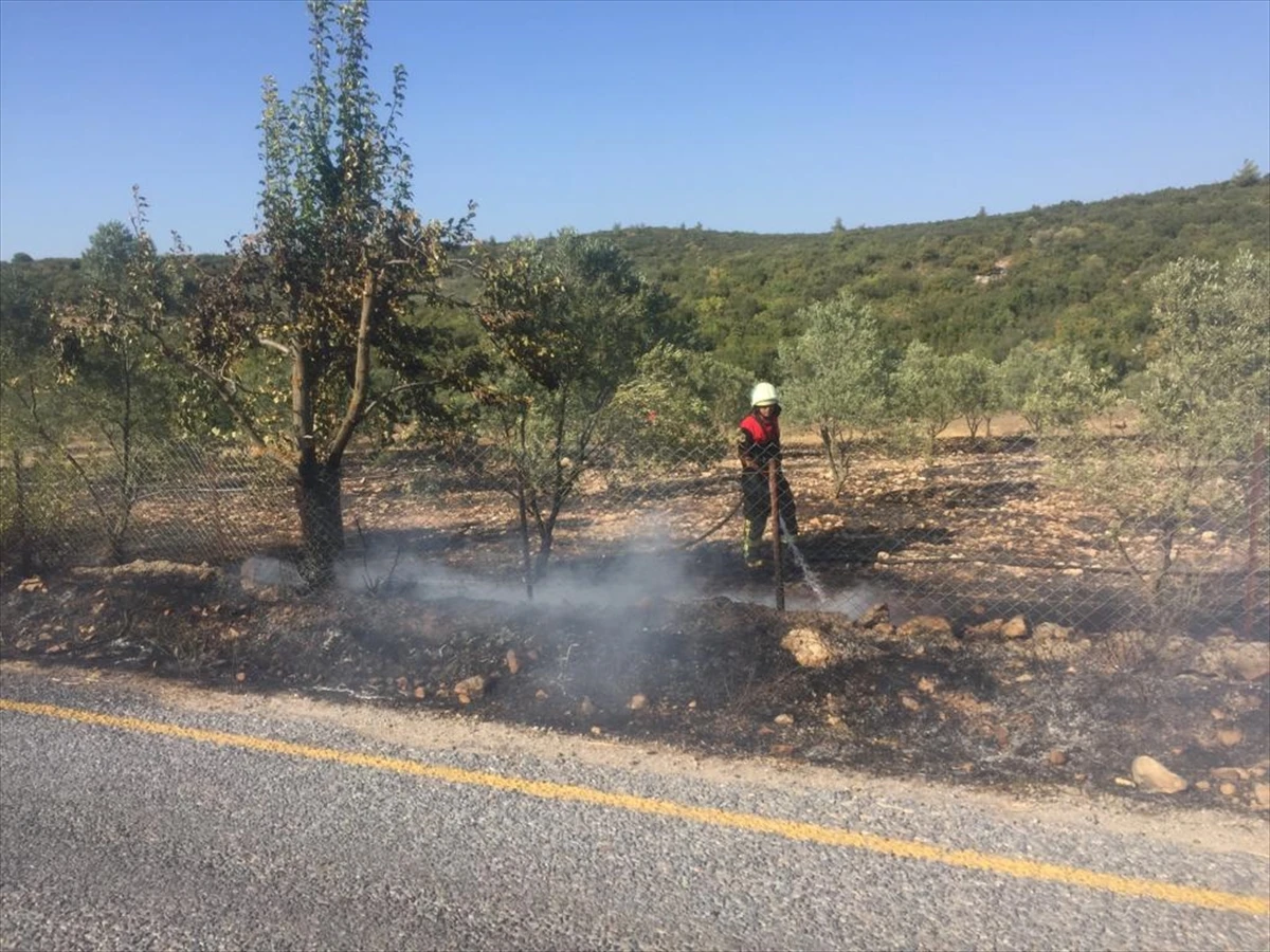 Muğla’da ot yangını