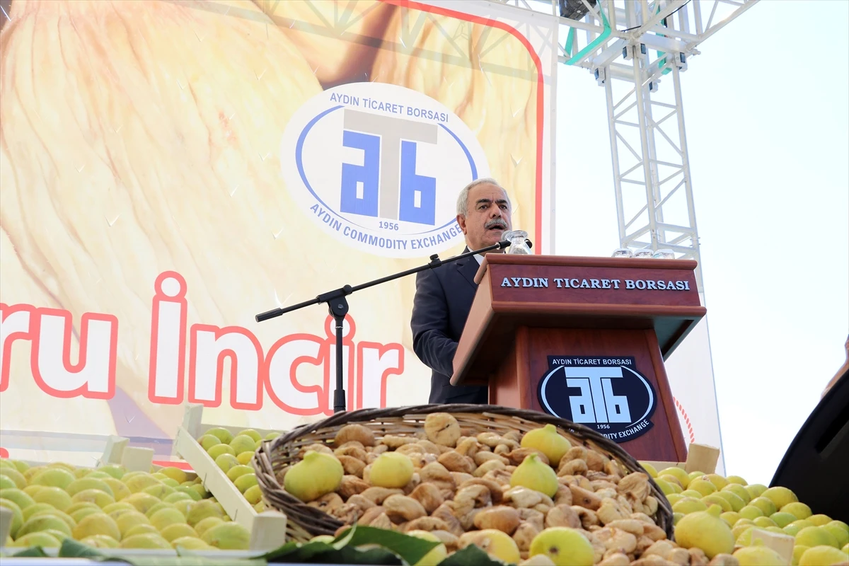 Aydın’da kuru incir sezonu açılış töreni yapıldı