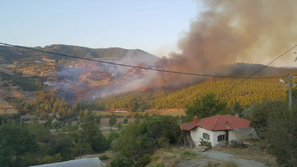 Denizli’de orman yangını