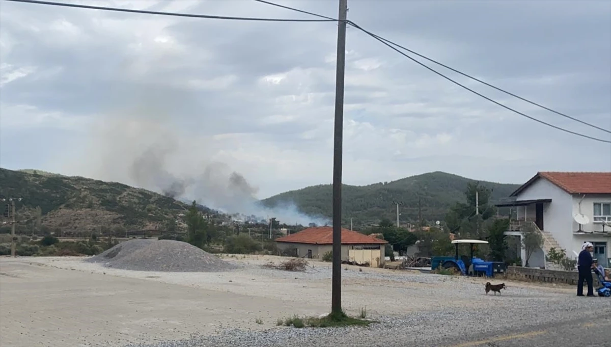 Muğla’da çıkan orman yangını kontrol altına alınmaya çalışılıyor