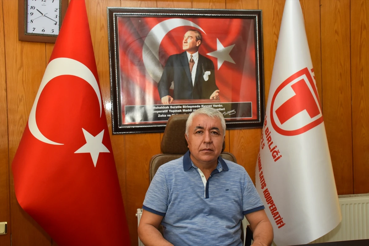 Tariş, kuru incir alım fiyatını ortalama yüzde 30 artırdığını açıkladı