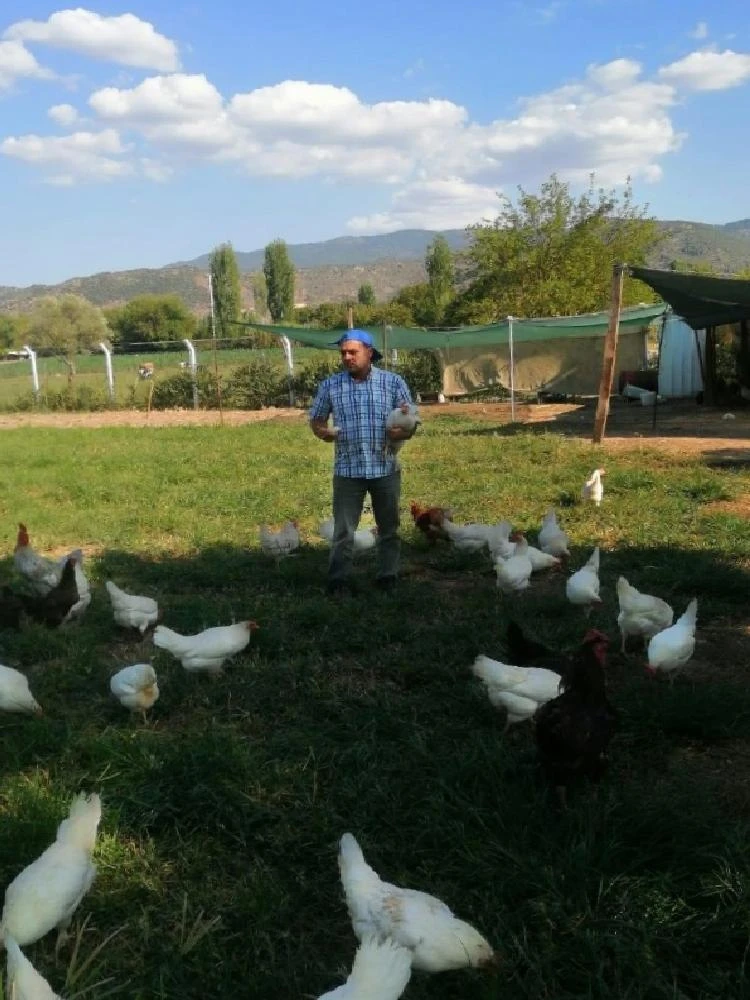 Hobi olarak başladı, çiftlik sahibi oldu