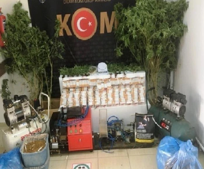 Didim’de 52 kök hint keneviri ele geçirildi