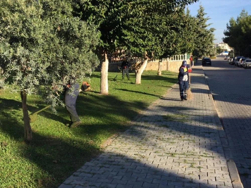 Didim’de yeşil alan çalışmaları devam ediyor