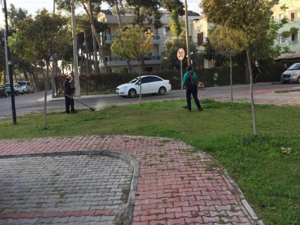 Didim’de yeşil alanlarda bakım çalışmaları sürüyor