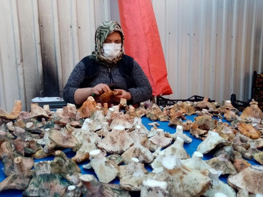 Havalar kurak gidince mantar fiyatları yüzde 100 zamlandı