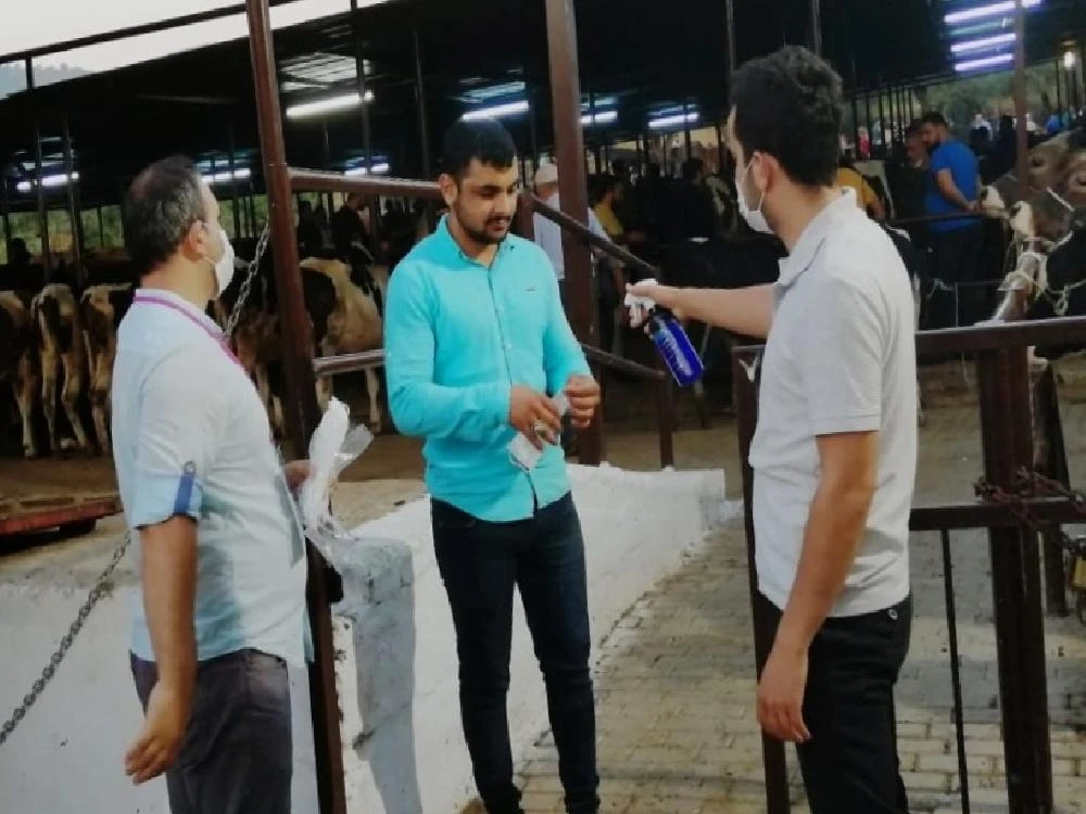 Hayvan Pazarları hafta sonu açık olacak