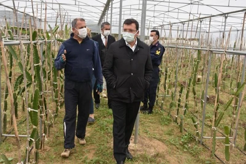 Kaymakam Şahin, ’Efeler Diyarında Pitaya’ Projesi kapsamında üreticilerle bir araya geldi