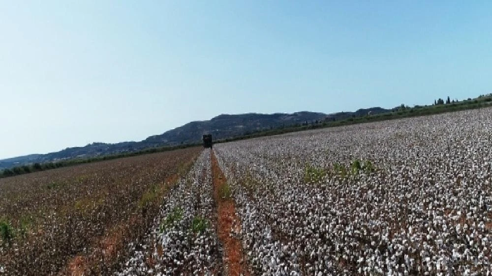 Kuraklığa rağmen, Aydın’da sulama sezonu sorunsuz sona erdi