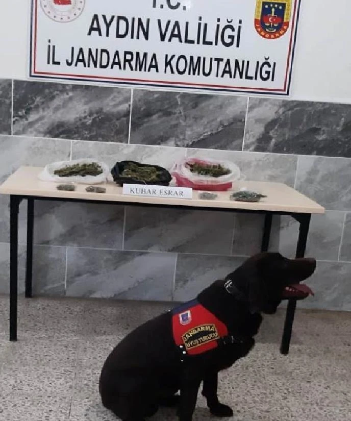 Aydın’da 250 gram kubar esrar ele geçirildi