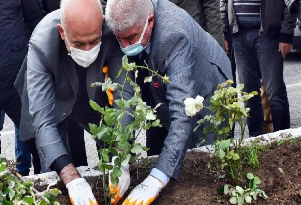 Güllübahçe Mahallesi yıllar sonra adını aldığı güllerine kavuşuyor