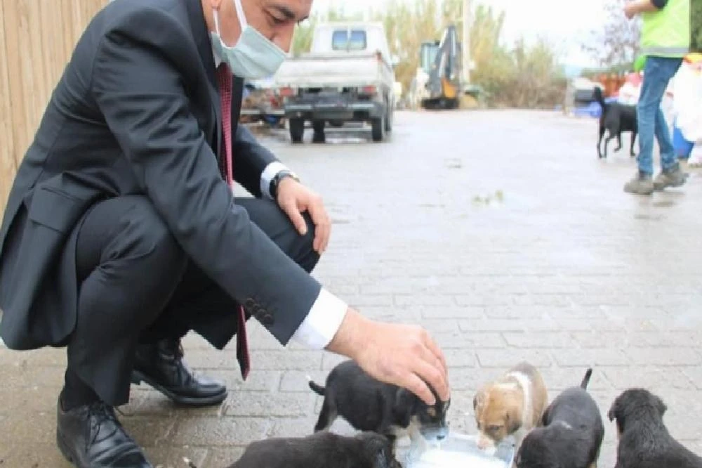 Hayvan barınağına göndermek istediği köpekleri belediye önüne bıraktı