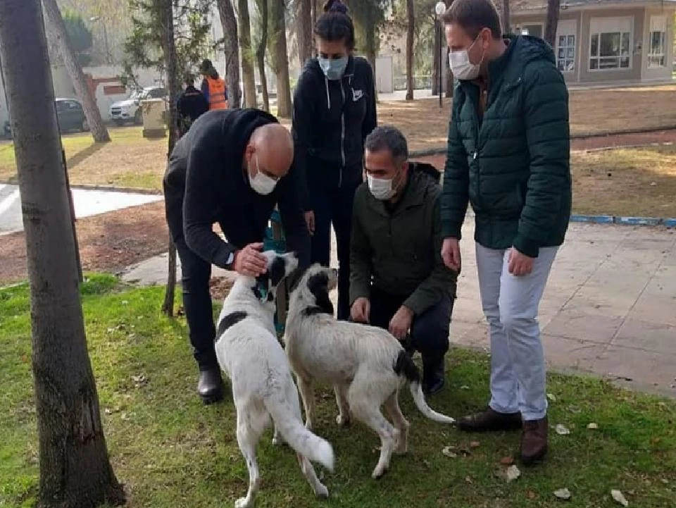 Sokağa çıkma kısıtlamasında Aydın’daki sokak hayvanları yalnız bırakılmadı