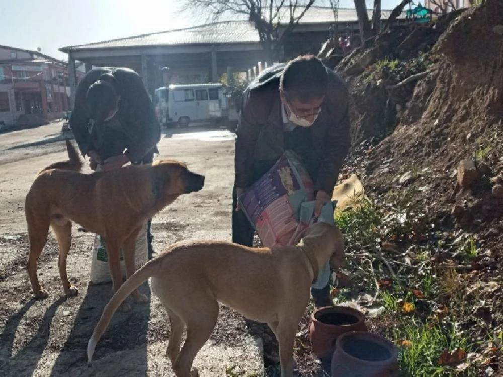 Karacasu’da Başkan İnal can dostları unutmadı