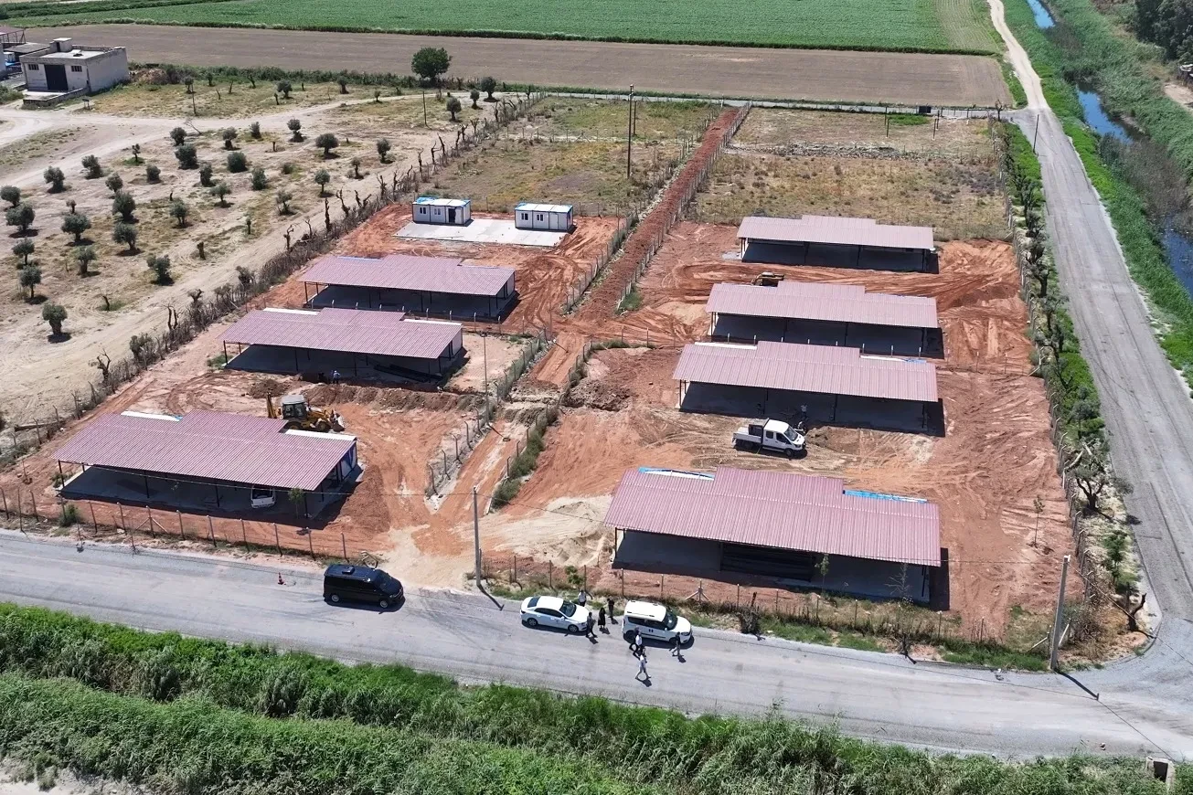 Efeler’de Sokak Hayvanları İçin 26 Bin Metrekarelik Yaşam Alanı