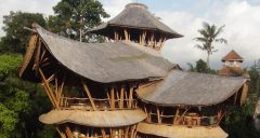 Saz kamış bambu dekorasyon ve çatı kaplama