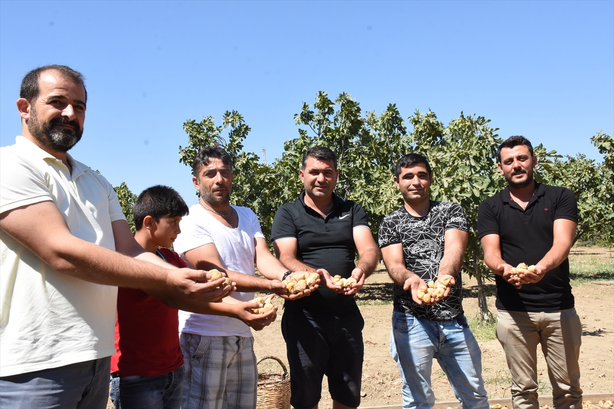 20200816_2_43912064_57456901_Web