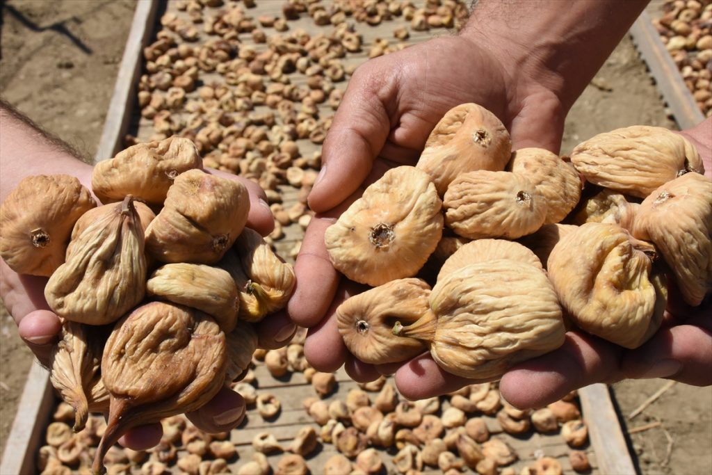 20200816 2 43912064 57456903 Web Aydın'da kuru incir tezgahlarda yerini almaya başladı