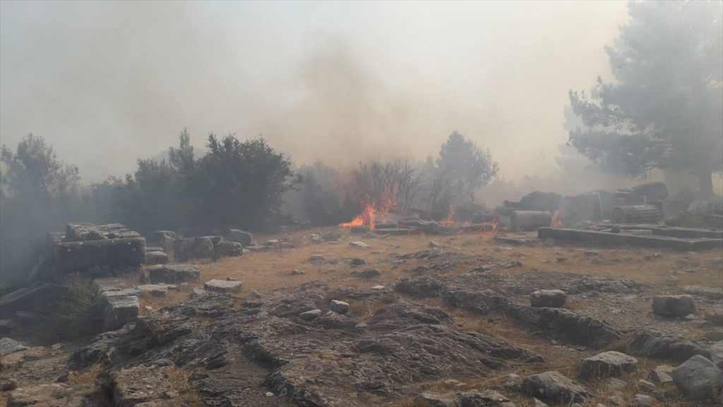 20200817 2 43927972 57479140 Web Aydın'da zirai alanda çıkan yangın Priene Antik Kenti'ndeki ağaçlara sıçradı