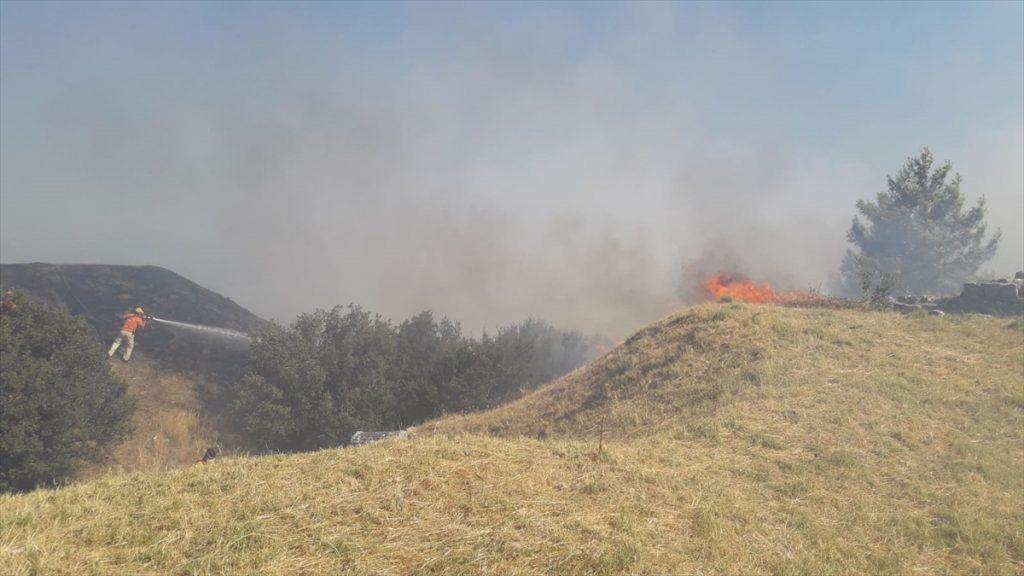 20200817 2 43927972 57479141 Web Aydın'da zirai alanda çıkan yangın Priene Antik Kenti'ndeki ağaçlara sıçradı