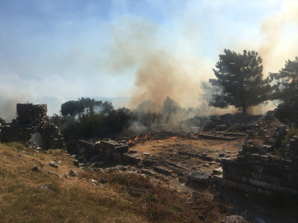 20200817 2 43927972 57479142 Web Aydın'da zirai alanda çıkan yangın Priene Antik Kenti'ndeki ağaçlara sıçradı