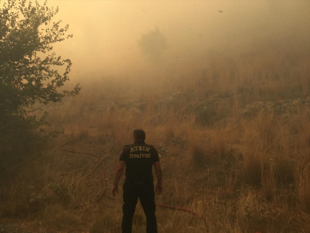 20200817 2 43927972 57479143 Web Aydın'da zirai alanda çıkan yangın Priene Antik Kenti'ndeki ağaçlara sıçradı