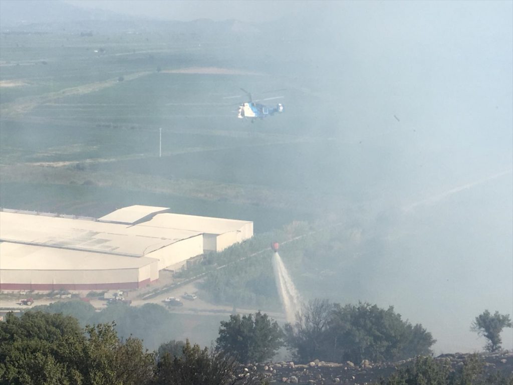 20200817 2 43927972 57479144 Web Aydın'da zirai alanda çıkan yangın Priene Antik Kenti'ndeki ağaçlara sıçradı