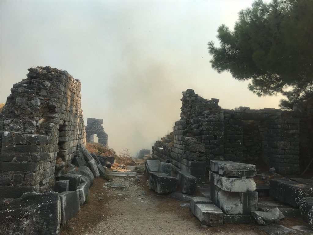 20200817 2 43927972 57479146 Web Aydın'da zirai alanda çıkan yangın Priene Antik Kenti'ndeki ağaçlara sıçradı