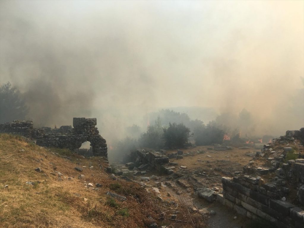 20200817 2 43927972 57479147 Web Aydın'da zirai alanda çıkan yangın Priene Antik Kenti'ndeki ağaçlara sıçradı