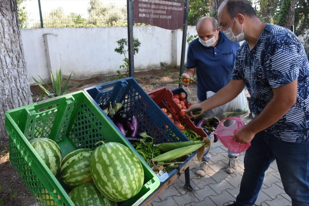 20200818 2 43935918 57487876 Web Öğretmenlerin "iyilik bahçesi" ihtiyaç sahiplerine destek oluyor