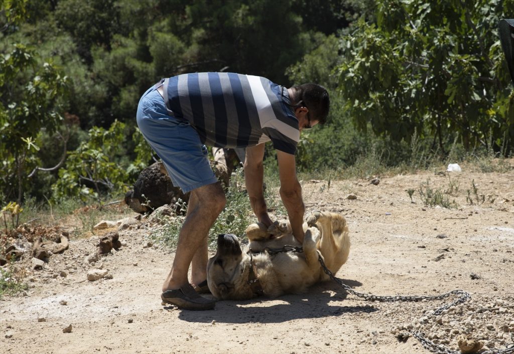 20200819 2 43952835 57511784 Web Türkiye'nin ilk çift kol nakilli hastası Cihan Topal kollarına gözü gibi bakıyor