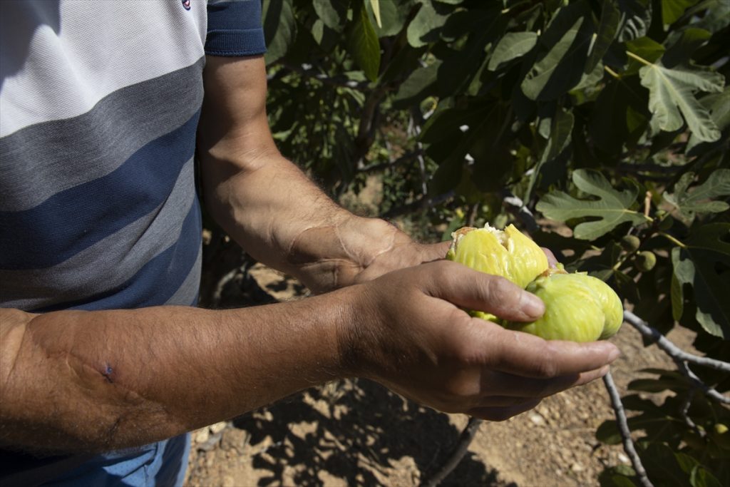 20200819 2 43952835 57511785 Web Türkiye'nin ilk çift kol nakilli hastası Cihan Topal kollarına gözü gibi bakıyor