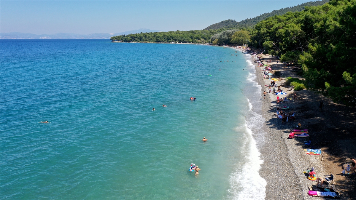 20200820_2_43969092_57536083_Web